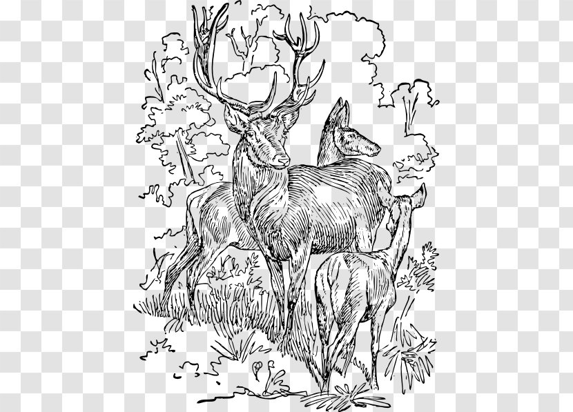 Red Deer Drawing Clip Art - Fiction - Characters ，cartoon，deer，cartoon Card Transparent PNG