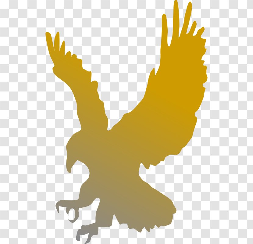 Bald Eagle Clip Art - Tree - Gradient Golden Eagles Transparent PNG
