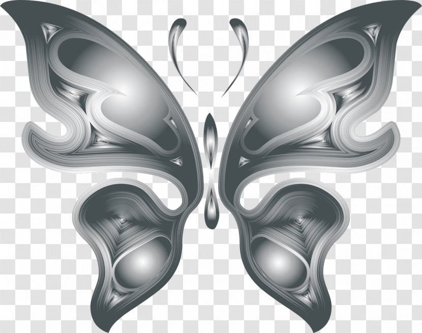 Butterfly Color Rainbow - Photography Transparent PNG