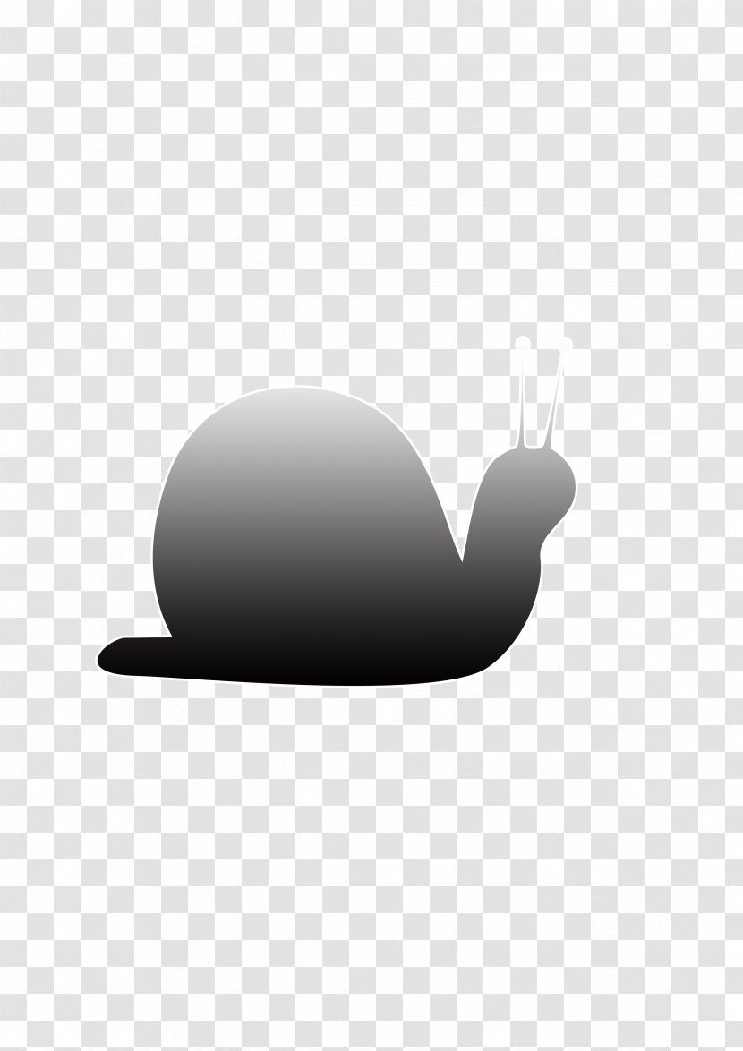 Black And White Pattern - Computer - Snail Shape Transparent PNG