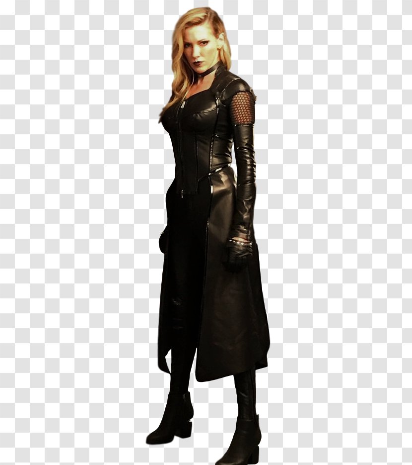 Katie Cassidy Black Canary Smallville Green Arrow Arrowverse - Tree - Project Siren Transparent PNG