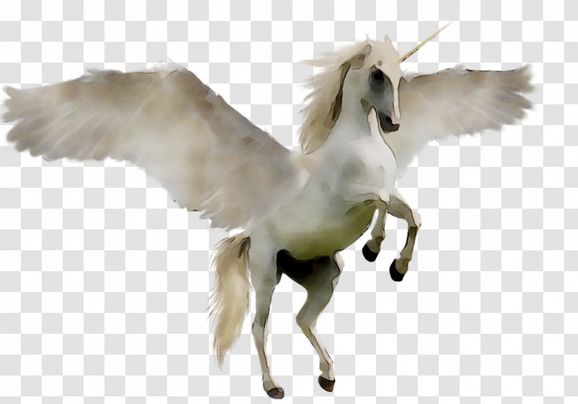 Desktop Wallpaper Unicorn Display Resolution Mobile Phones - Computer - Horse Transparent PNG