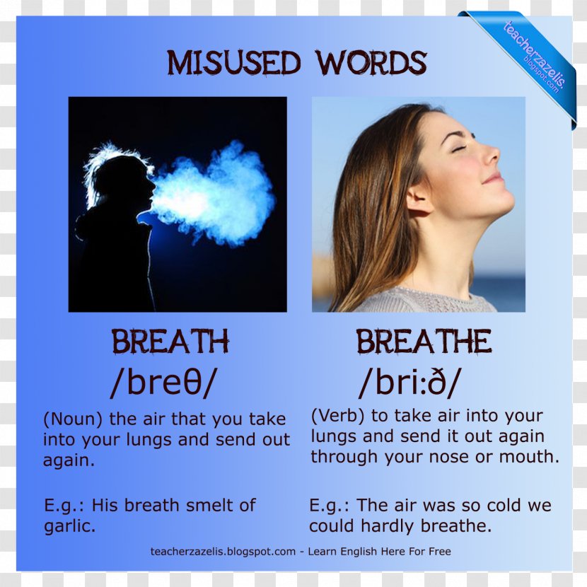 Fact Monster Quiz Word Grammar Vocabulary - Advertising Transparent PNG