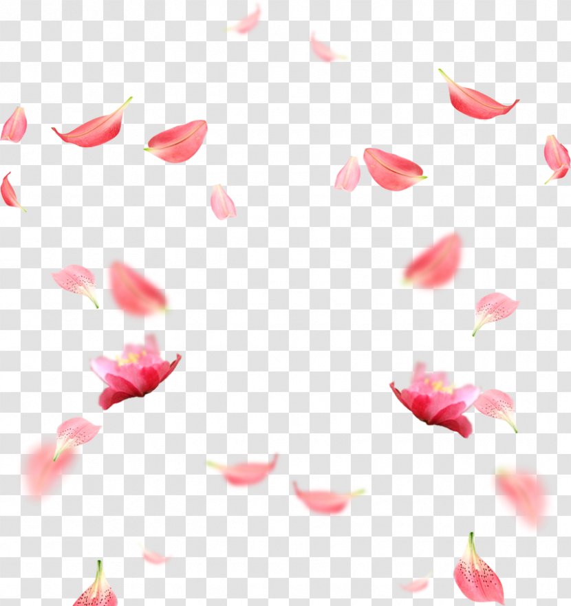 Petal RGB Color Model Download - Pink - Cherry Blossom Petals Picture Material Transparent PNG