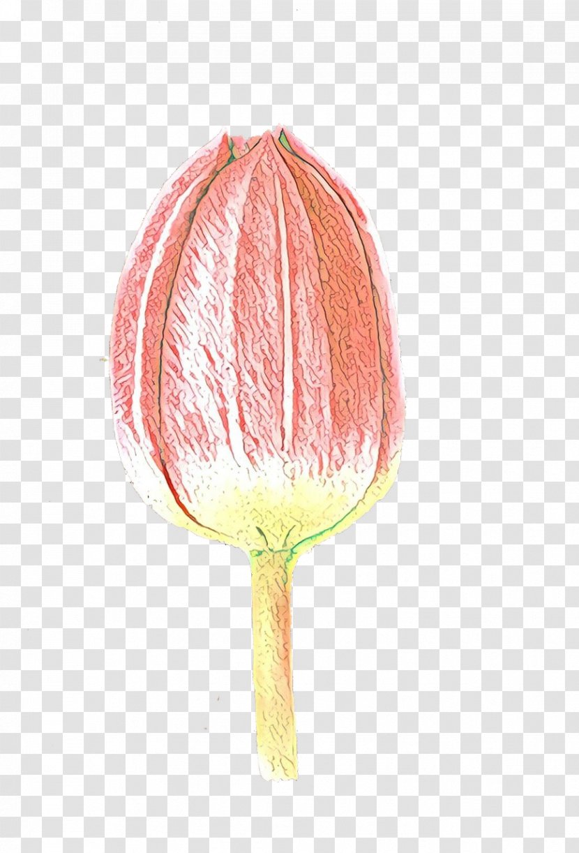 Pink Flower Cartoon - Anthurium - Plant Stem Transparent PNG