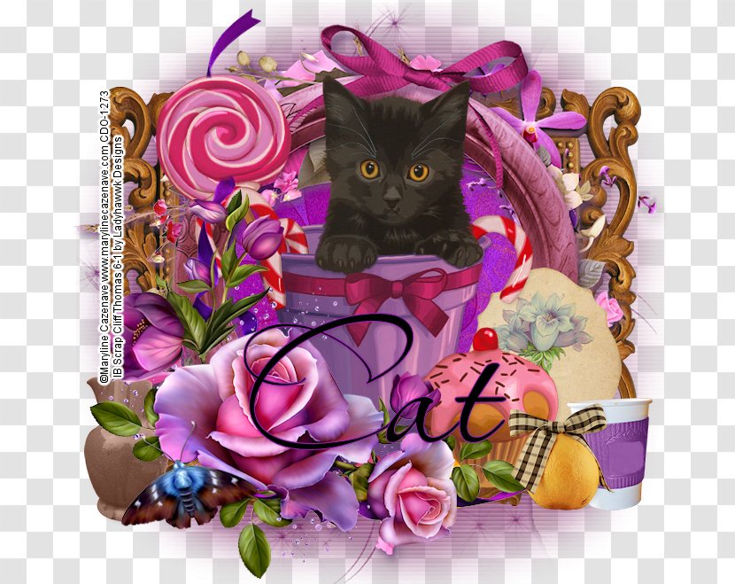 Kitten Whiskers Floral Design - Carnivoran Transparent PNG