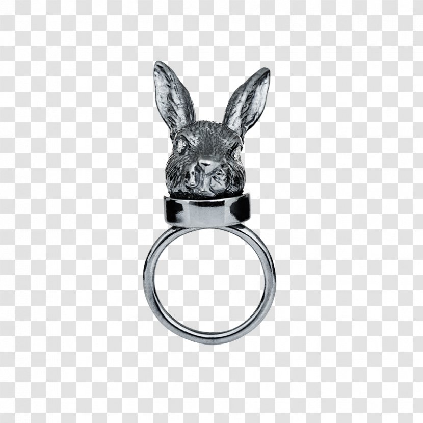 Jewellery Gold Moon Rabbit Ring Silver - Plastic - On The Transparent PNG