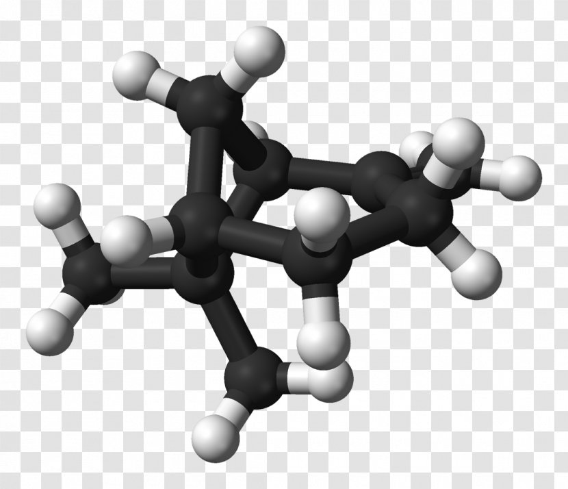 Alpha-Pinene Beta-Pinene Monoterpene - Pine Transparent PNG