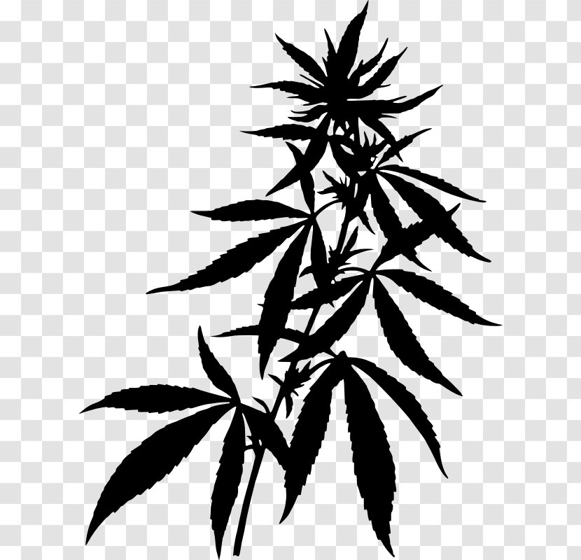 Cannabis Drawing Hemp Clip Art - Leaf Transparent PNG