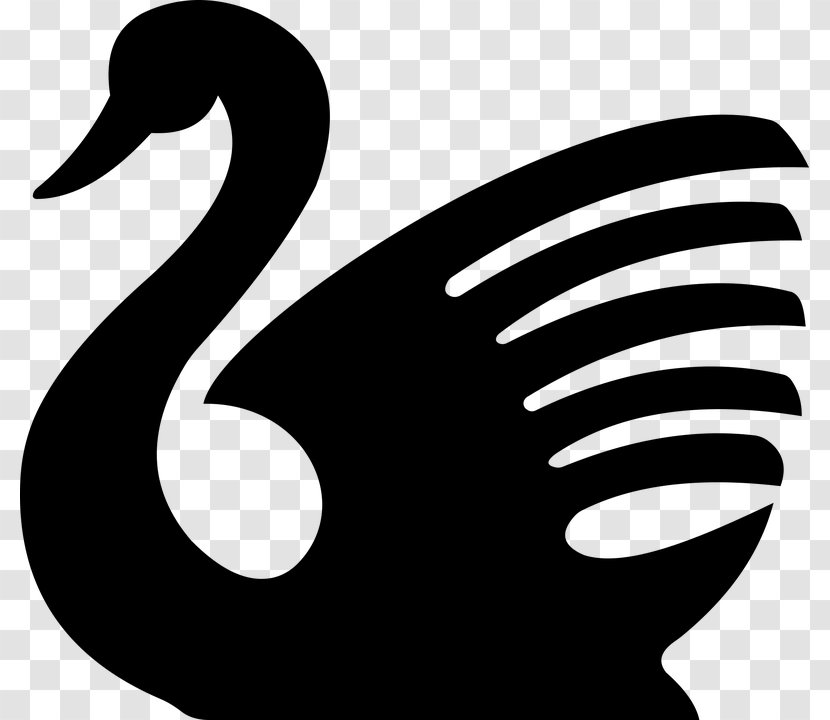 Black Swan Silhouette Drawing Clip Art - Trumpeter - White Transparent PNG