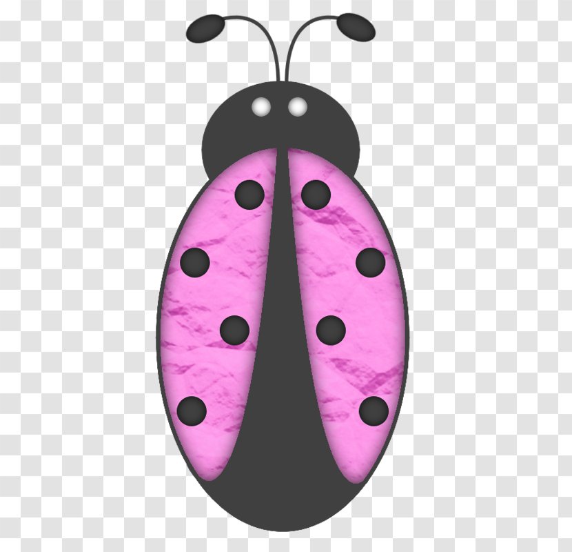 Ladybird - Invertebrate - Purple Beetle Transparent PNG