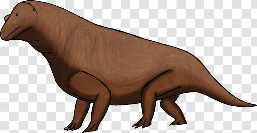 Bear Dog Canidae Snout Terrestrial Animal - Mammal Transparent PNG