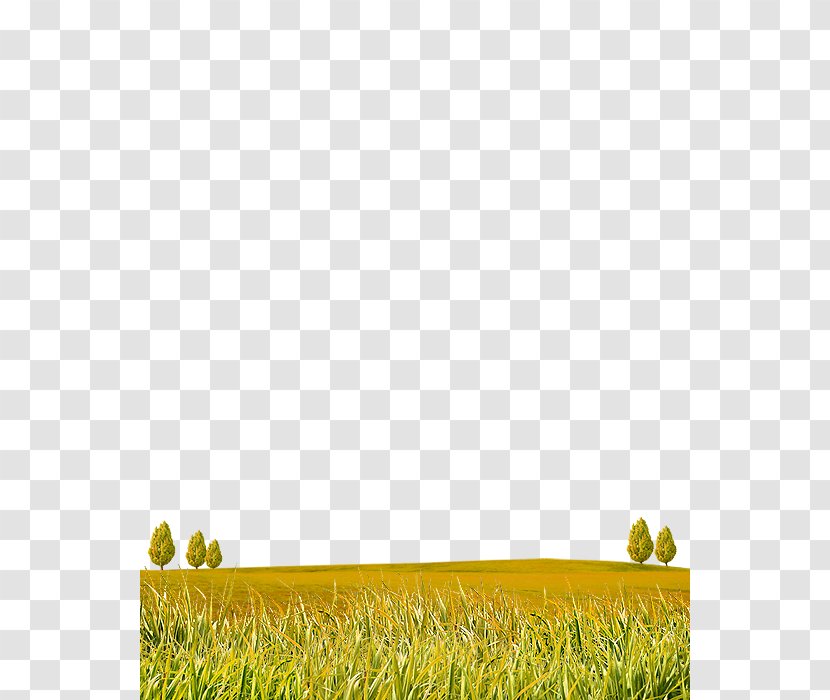 Lawn Download - Autumn Grass Material Transparent PNG