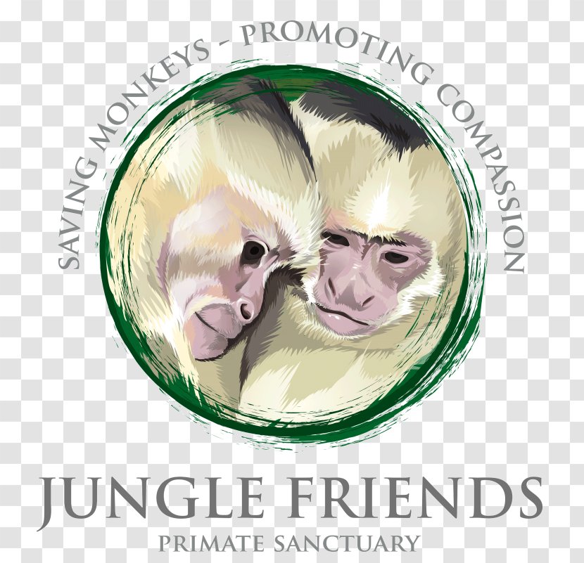 Jungle Friends Primate Sn Center Nose Animal - Head - Monkey Transparent PNG