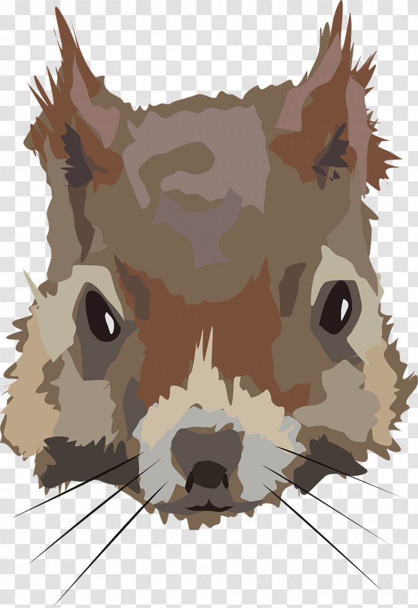 Squirrel Canidae Clip Art - Tree Transparent PNG