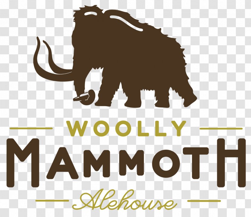 Woolly Mammoth Alehouse ROSS THE BOSS (USA) - Organism - Classic Manowar Set Live In Brisbane Elephant BeerElephant Transparent PNG