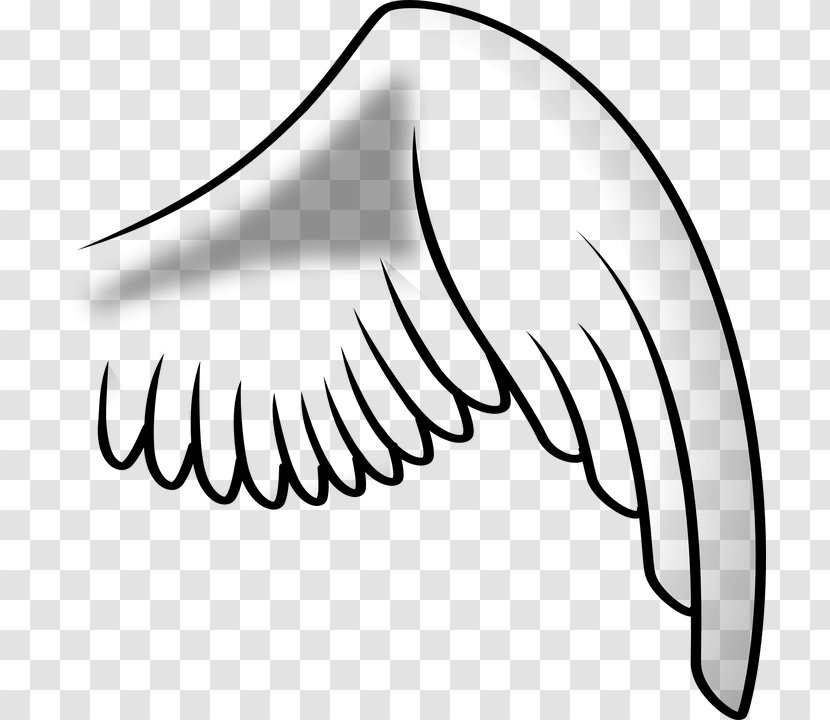 Bird Wing Clip Art - Document Transparent PNG