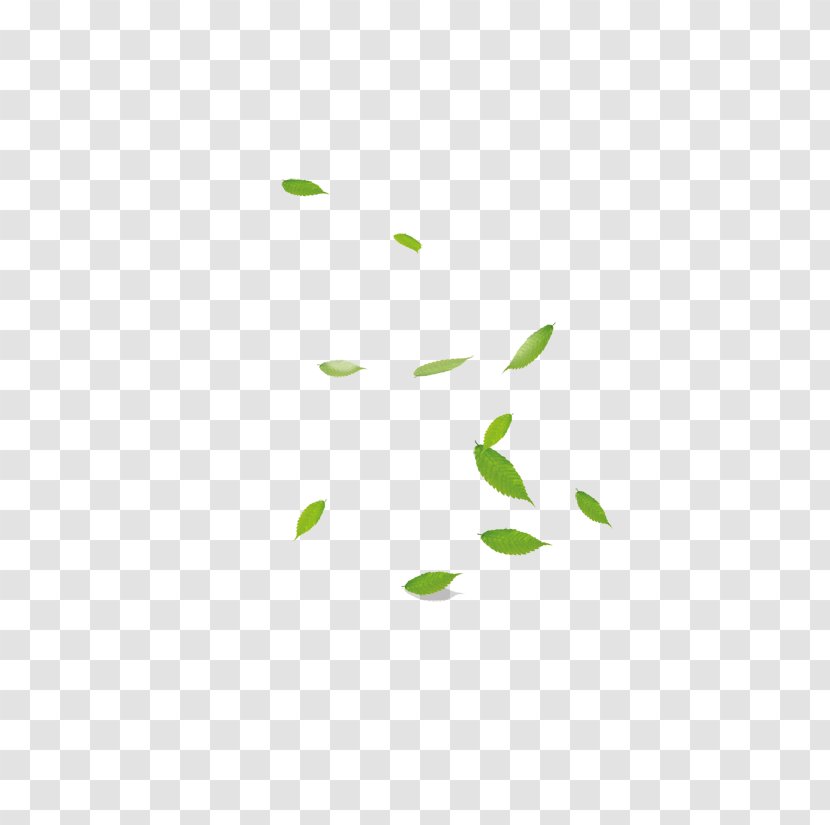 Green Area Pattern - White - Leaf Transparent PNG