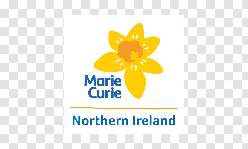 Marie Curie's Blooming Great Tea Party Daffodil Appeal Terminal Illness Research - Northern Ireland Executive Transparent PNG