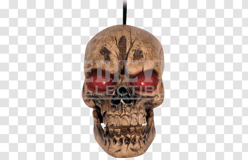 Skull Head Human Skeleton Bone - Frame Transparent PNG