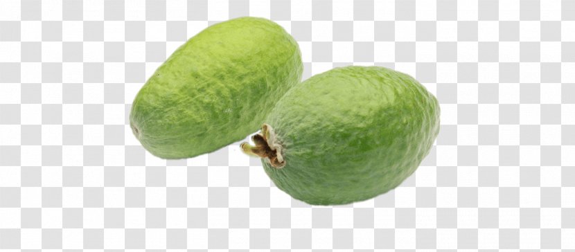 Feijoa Key Lime Superfood Transparent PNG