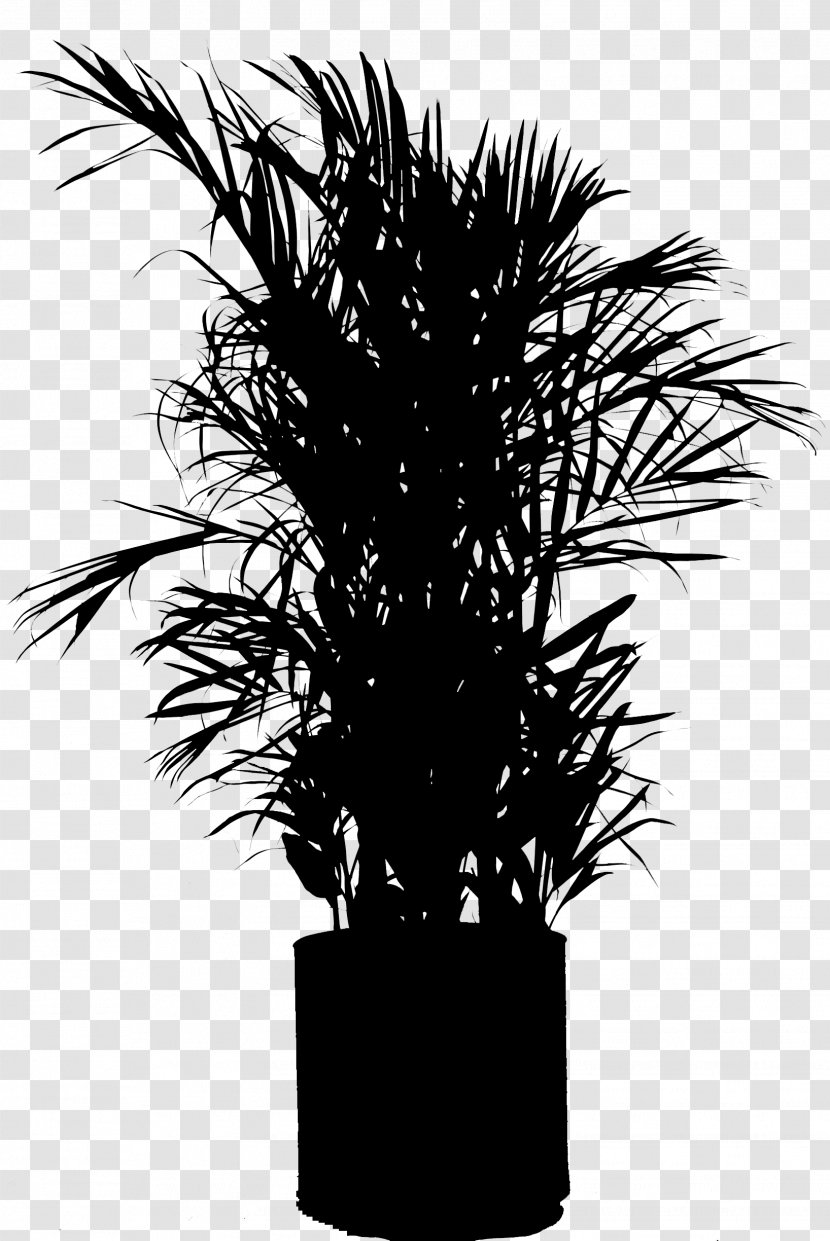 Asian Palmyra Palm Flowerpot Houseplant Silhouette Plant Stem - Branching Transparent PNG