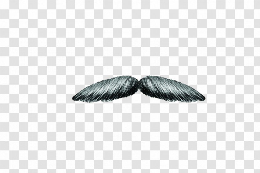 Black White Wallpaper - And - Moustache Transparent PNG