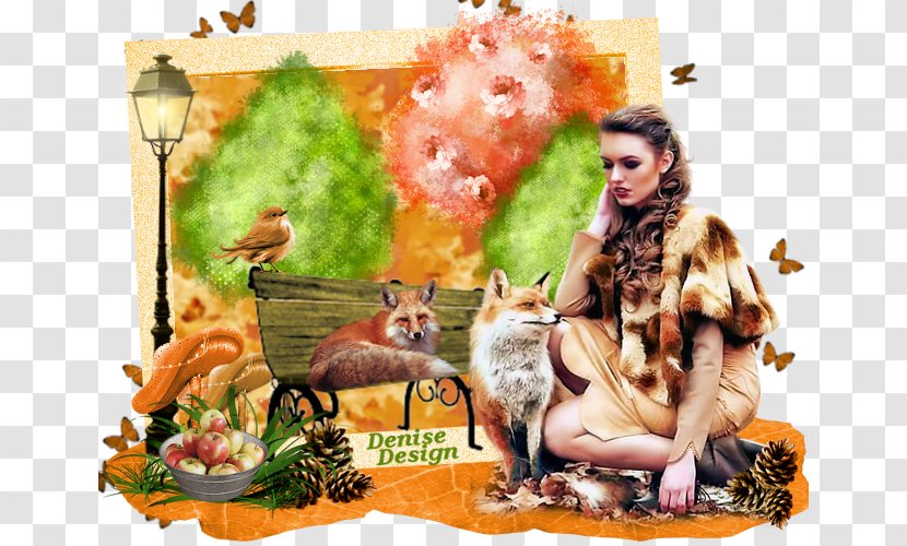 Animal Food - Griffon Bruxellois Transparent PNG