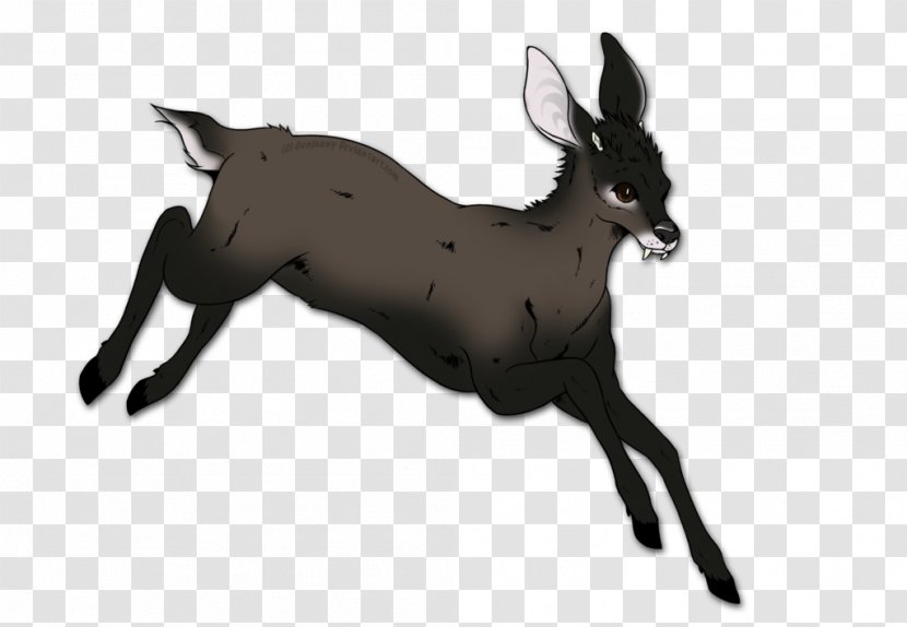 Musk Deers Tufted Deer Antelope Transparent PNG