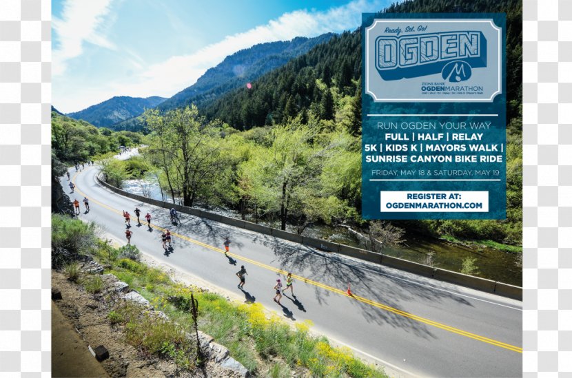 Road Running Racing Marathon Utah - Advertising - Chicken Transparent PNG