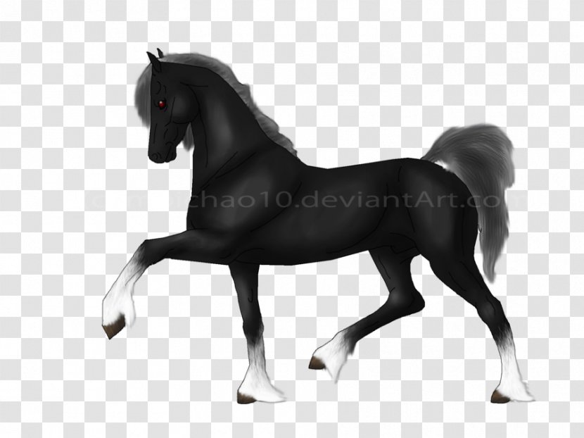 Stallion Pony Halter Mustang Bridle - Horse Transparent PNG