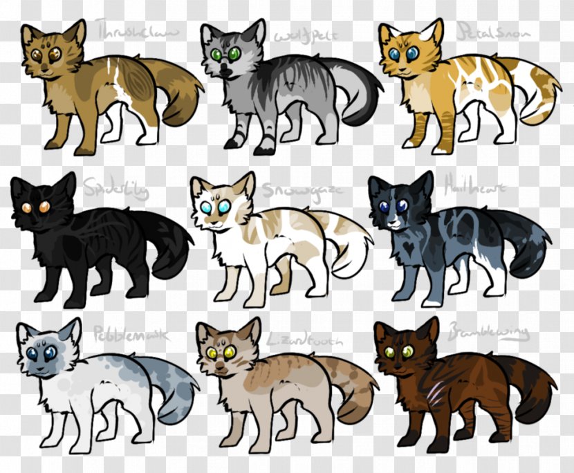 Cat Red Fox Kitten Gray Wolf - Animal Transparent PNG