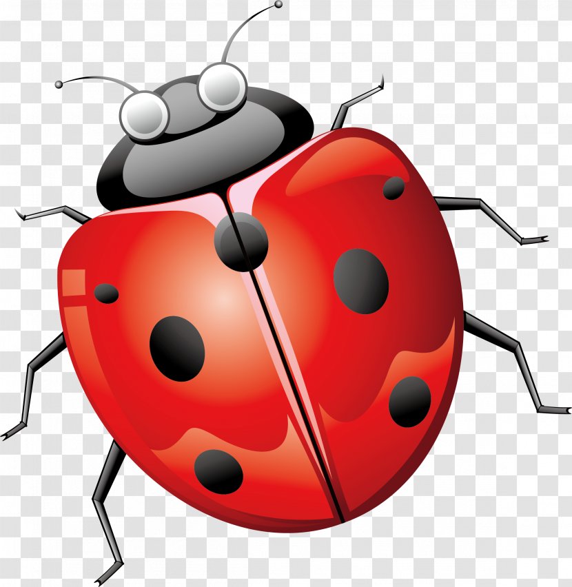 Ladybird Beetle Euclidean Vector - Element - Seven Star Ladybug Transparent PNG
