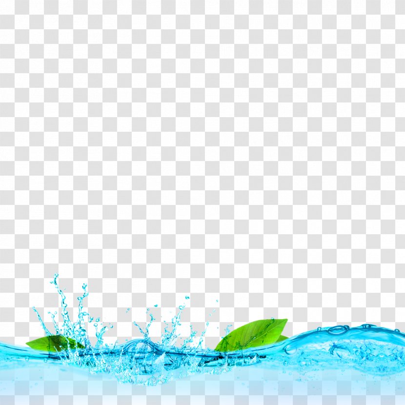 Blue Fresh Water Leaves Decorative Patterns - Grass - Reverse Osmosis Transparent PNG