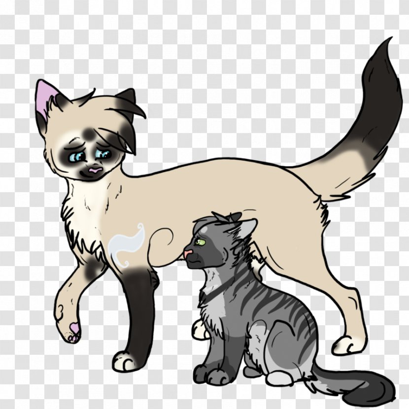 Whiskers Kitten Puppy Dog Breed - Cat Like Mammal Transparent PNG