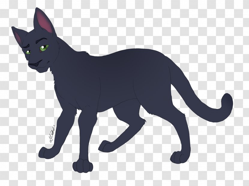 Korat Whiskers Domestic Short-haired Cat Black Russian Blue - Fauna Transparent PNG