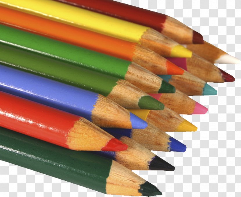 Artist Drawing Painting - Arts - A Bunch Of Pencil Transparent PNG