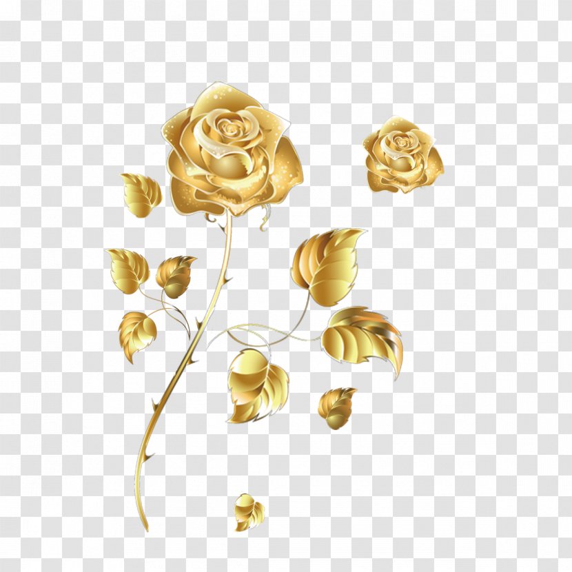 Beach Rose Golden Color Transparent PNG