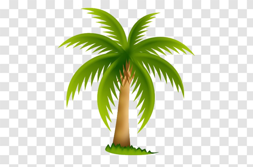 Date Palm Arecaceae Tree Clip Art - Borassus Flabellifer - PALMERA Transparent PNG