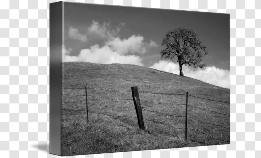 Black And White Imagekind Art Photography - Landscape - Dunvant Hill Gardening Services Transparent PNG