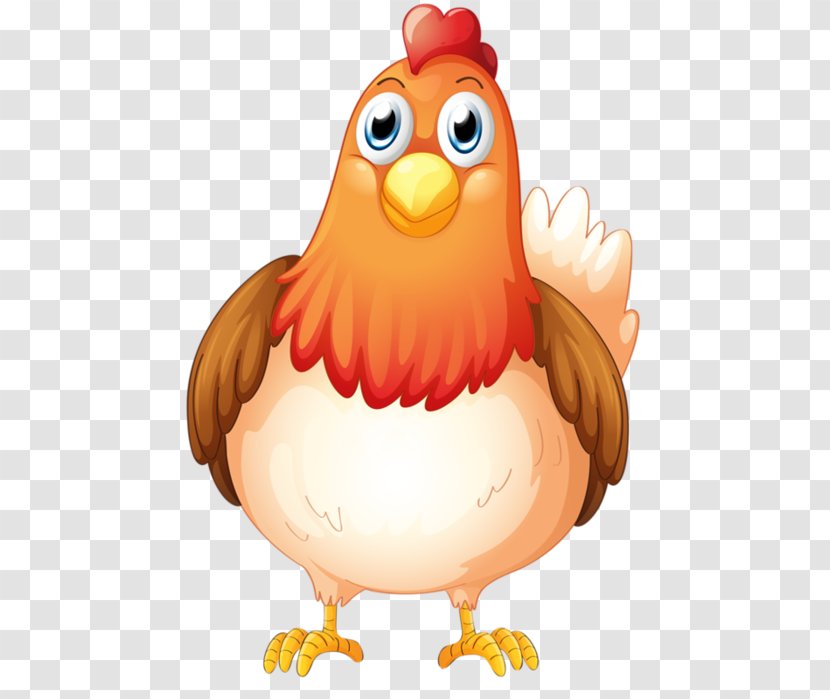 Chicken Vector Graphics Royalty-free Stock Illustration - Photography Transparent PNG