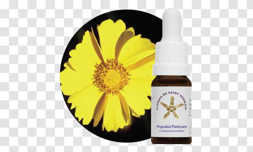 Bach Flower Remedies Therapy Alternative Health Services Terapia Holística Emotional Freedom Techniques - Liquid - Populus Transparent PNG