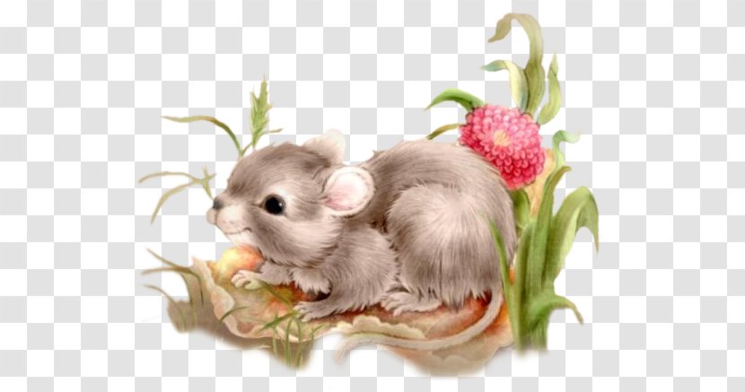 Gerbil Greeting Hamster Guestbook Love - PATINS Transparent PNG