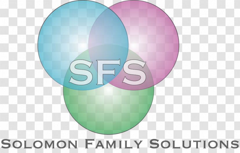 Solomon Family Solutions Non-profit Organisation The Caring Place Community Service Organization - Text Transparent PNG