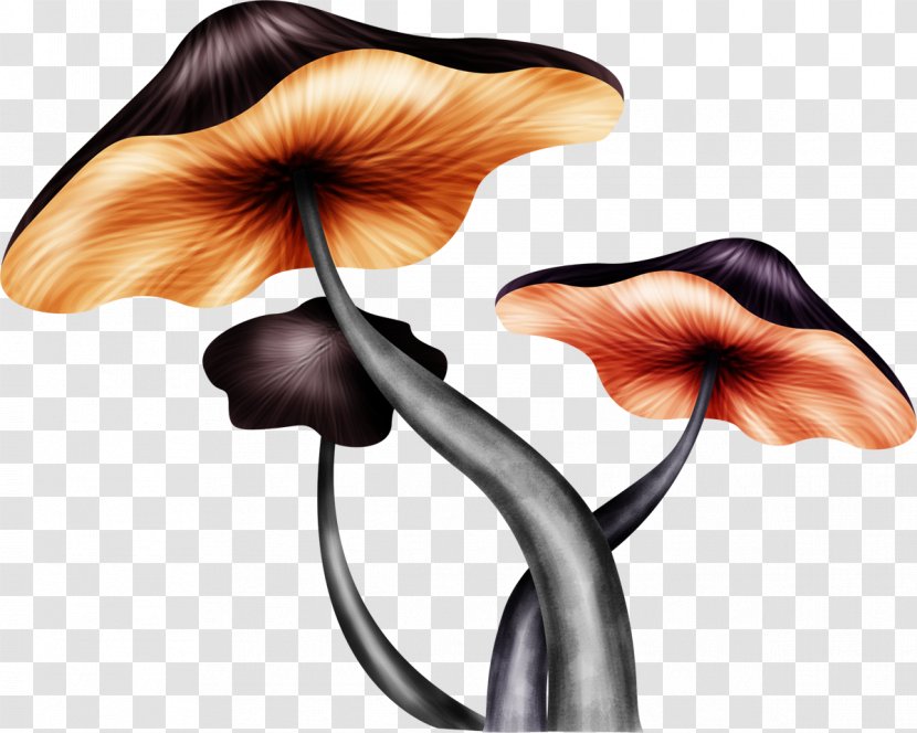 Fungus Mushroom Clip Art - Digital Image - Black Material Without Matting Transparent PNG