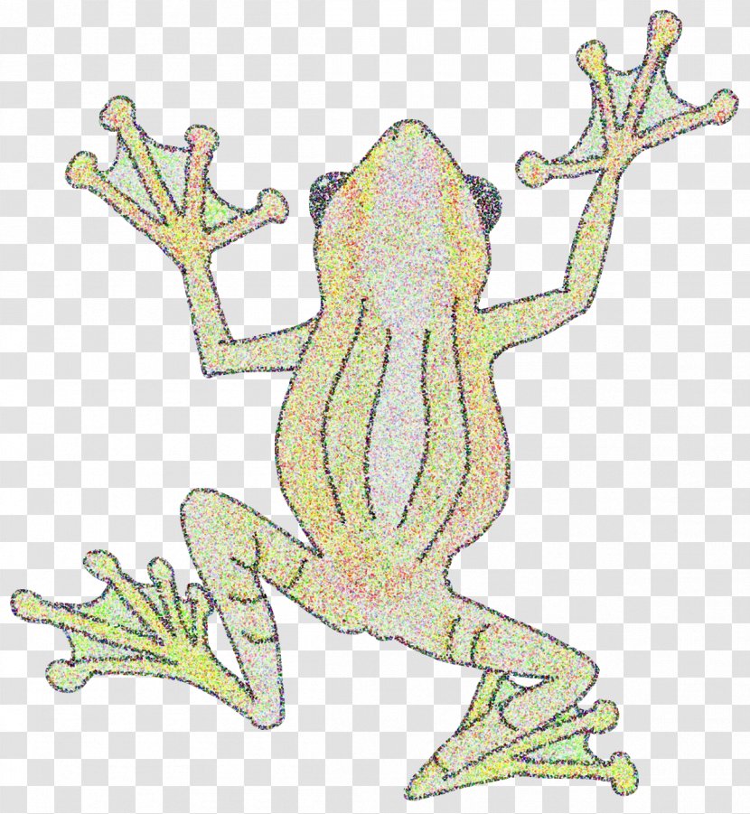True Frog Amphibian Art Tree - Animal - Bamboo Transparent PNG