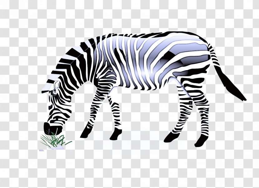 Zebra Wildlife Black-and-white Animal Figure Mane - Blackandwhite Transparent PNG
