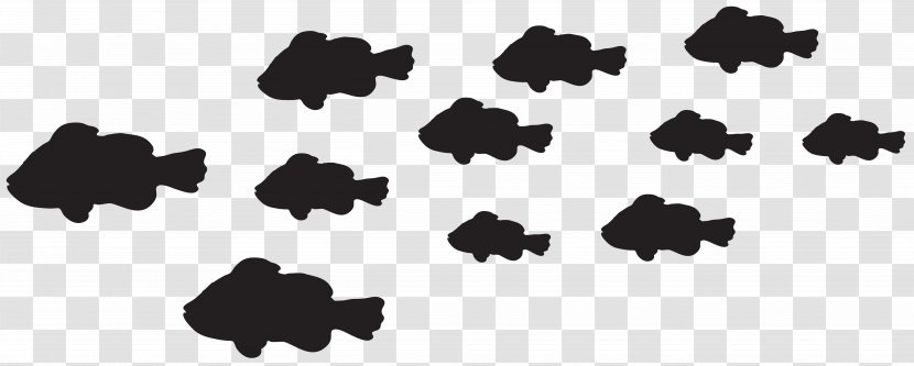Silhouette Fish Clip Art - Fishes Image Transparent PNG