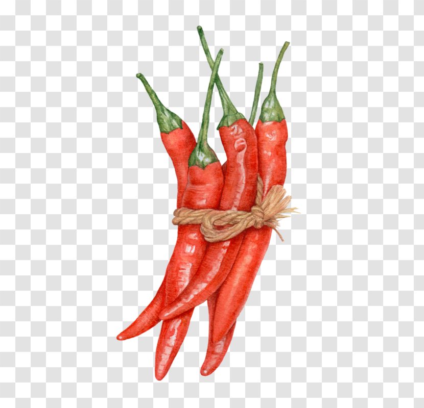 Chili Con Carne Pepper Bell Peppers Spice - Capsicum Transparent PNG