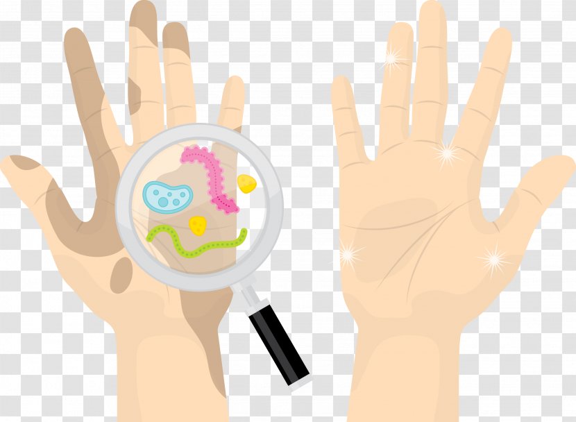 Hand Bacteria Thumb Euclidean Vector - Heart - A Magnifying Glass To Find In The Hands Transparent PNG